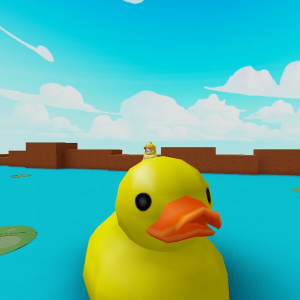 Find the ducks Moment