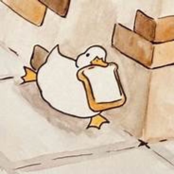 Duck